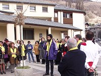 un piccolo albero di amicizia