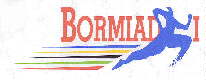 Bormiadi 1999 home page